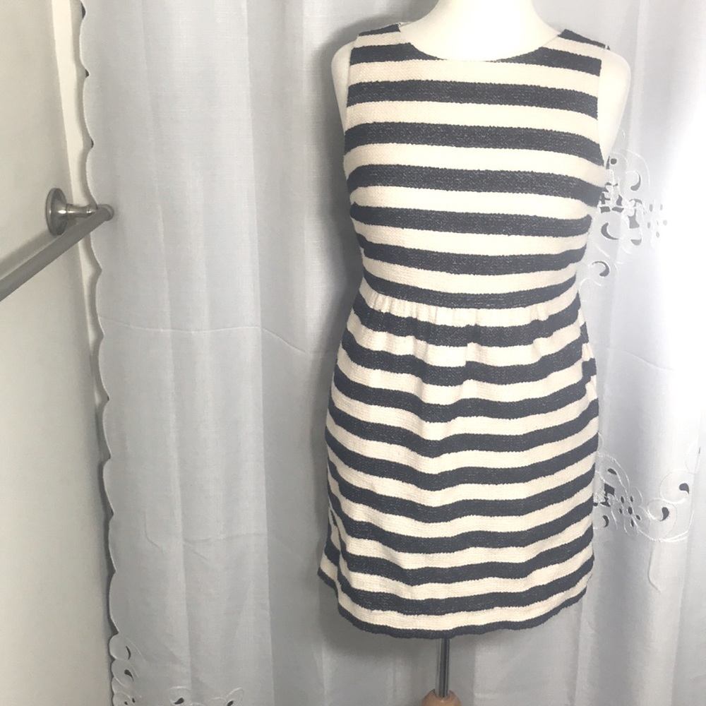 Crown & Ivy mini petite dress